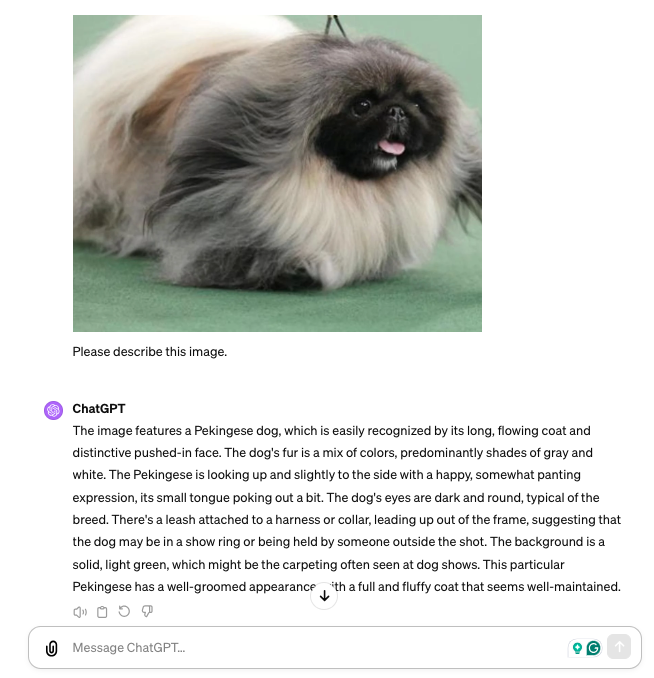 ChatGPT describing a picture of a Pekingese dog uploaded by the user