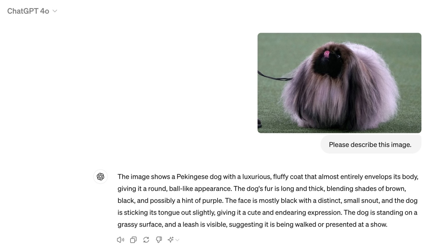 ChatGPT describing a picture of a Pekingese dog uploaded by the user