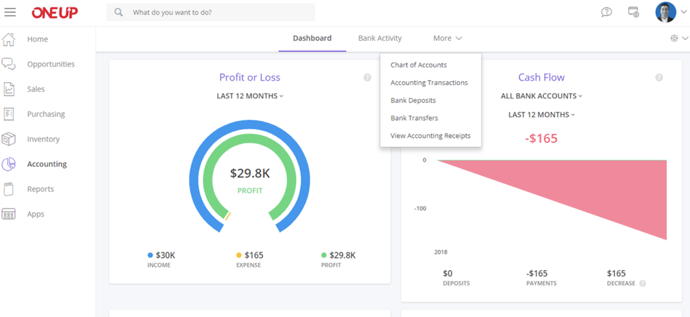 OneUp Accounting interface