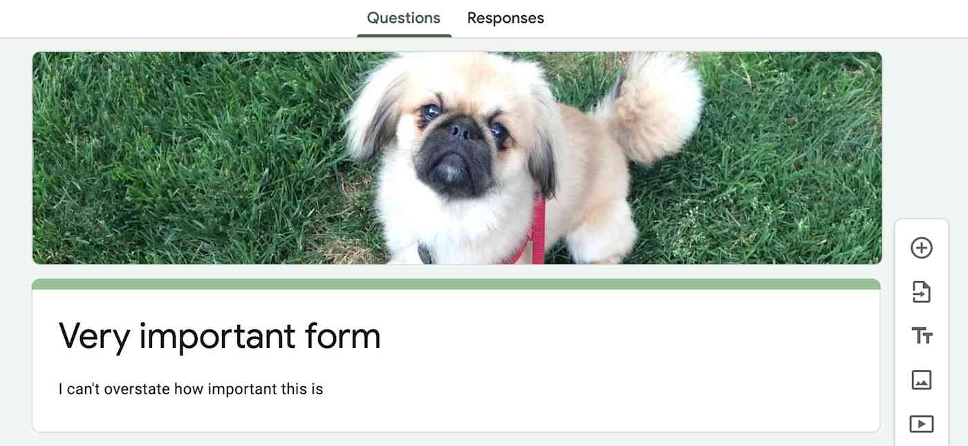 customize-google-forms-header-image-05-winston-header Showing what a vertical image looks like as a header