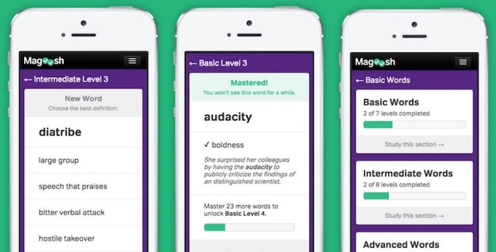 Magoosh Vocabulary Builder