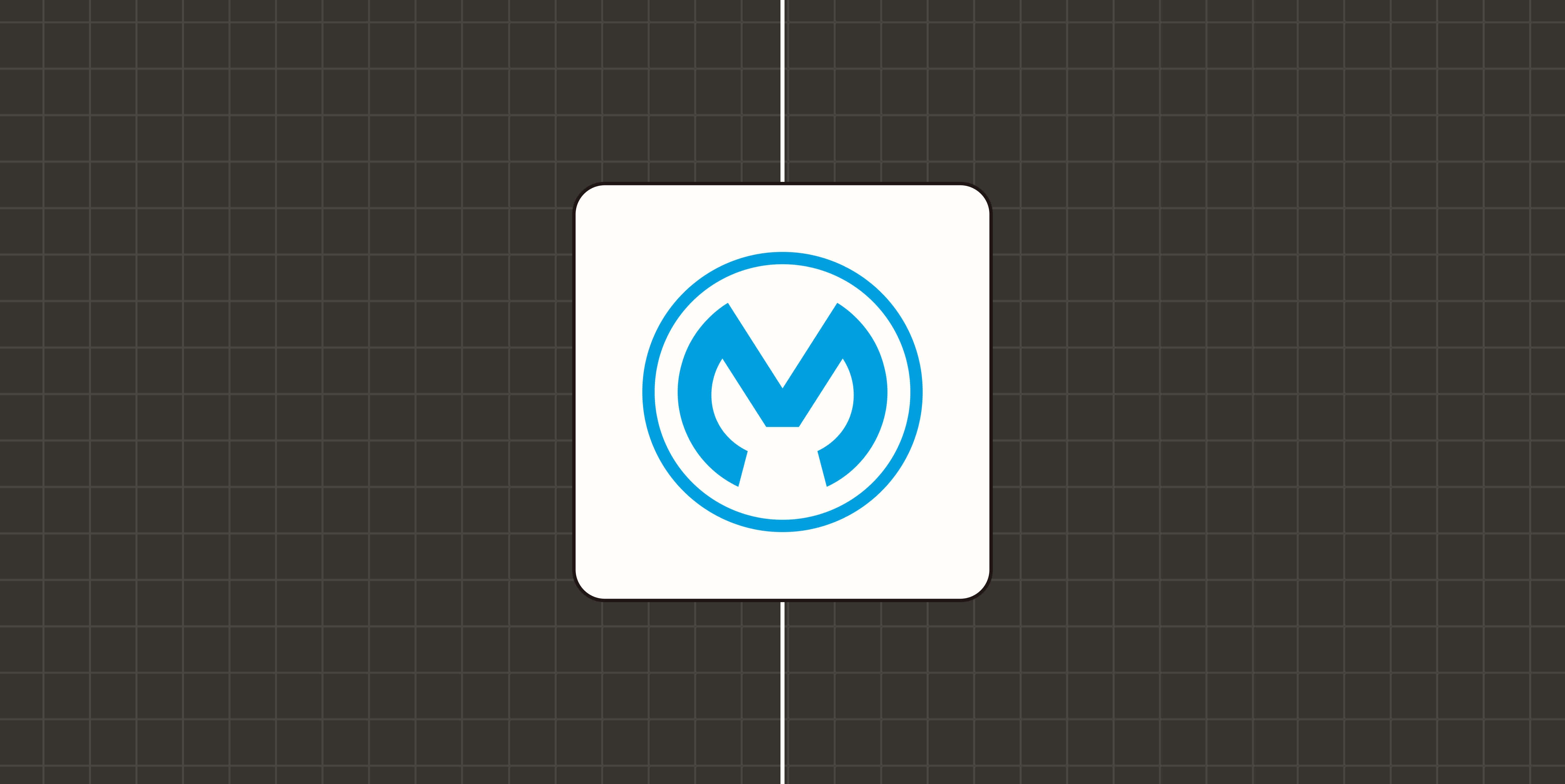 A hero image containing the MuleSoft logo