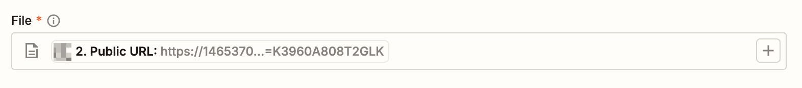 Screenshot of public url being mapped