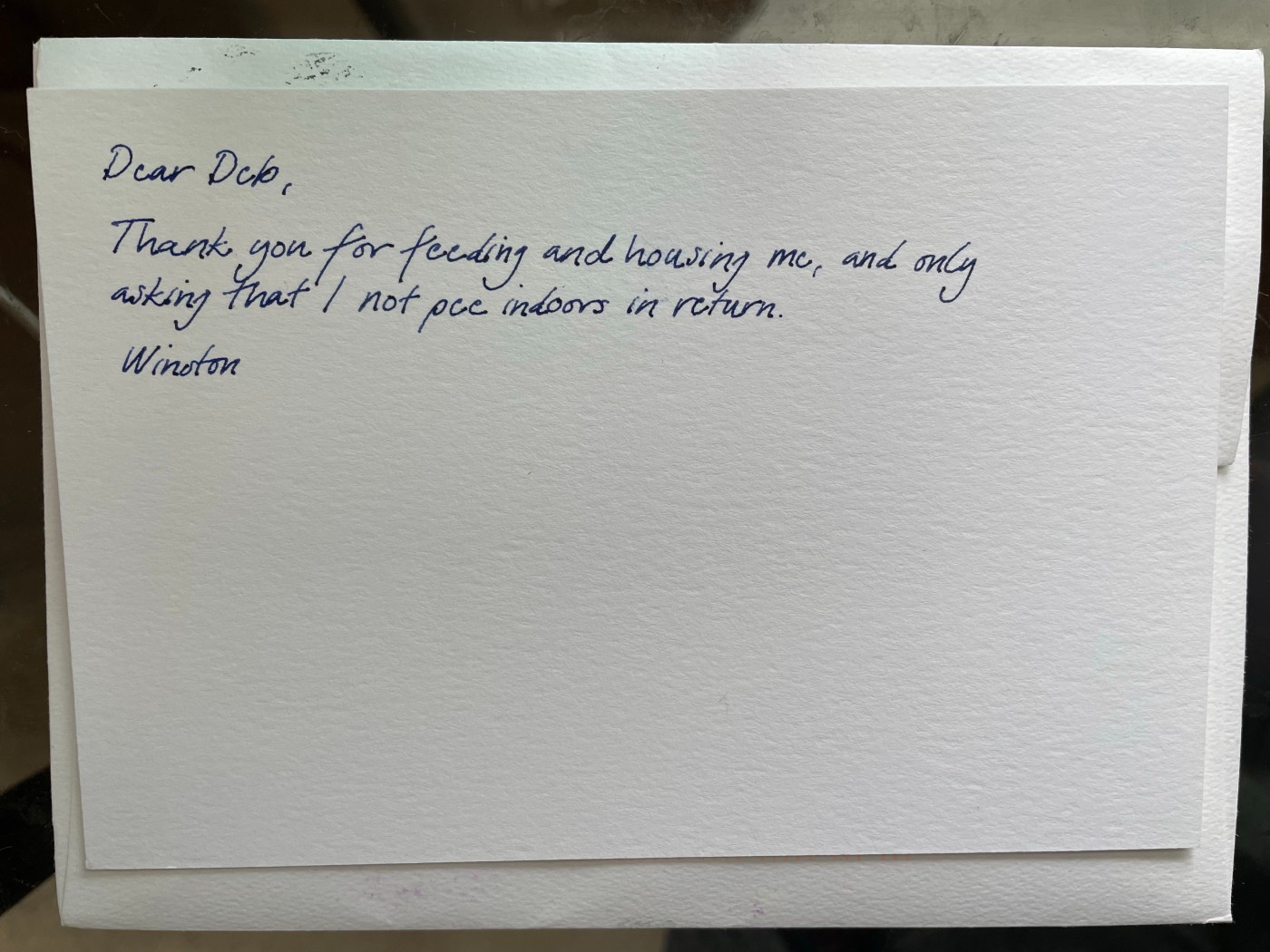 Back of a Handwrite card with a message that looks handwritten in blue ink. The entire message sits in the top third of the card with lots of empty white space taking up the bottom two-thirds.