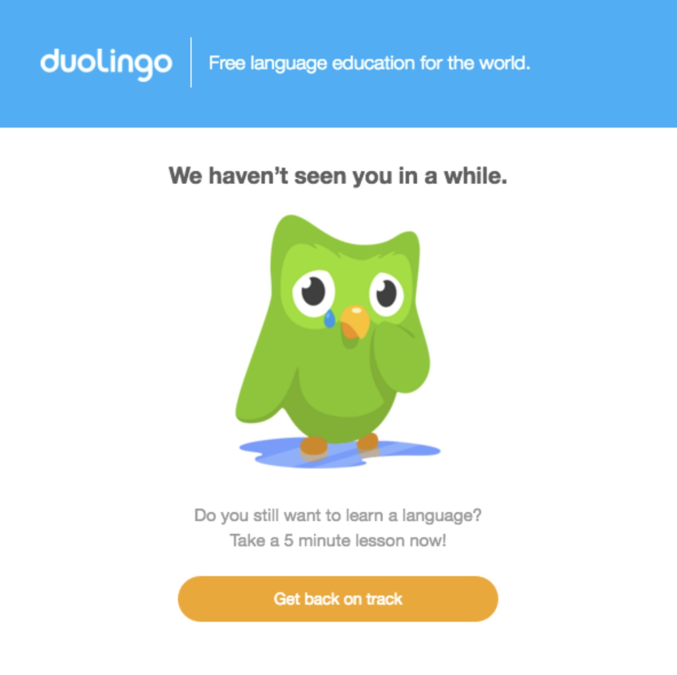 Duolingo email asking the writer to take a 5 minute lesson