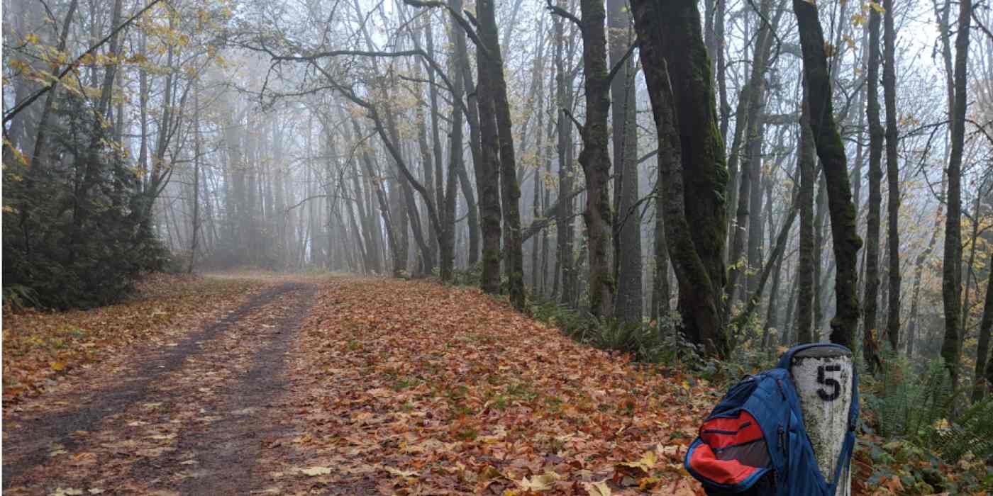 A hero image of a walking trail with a backpack to the side