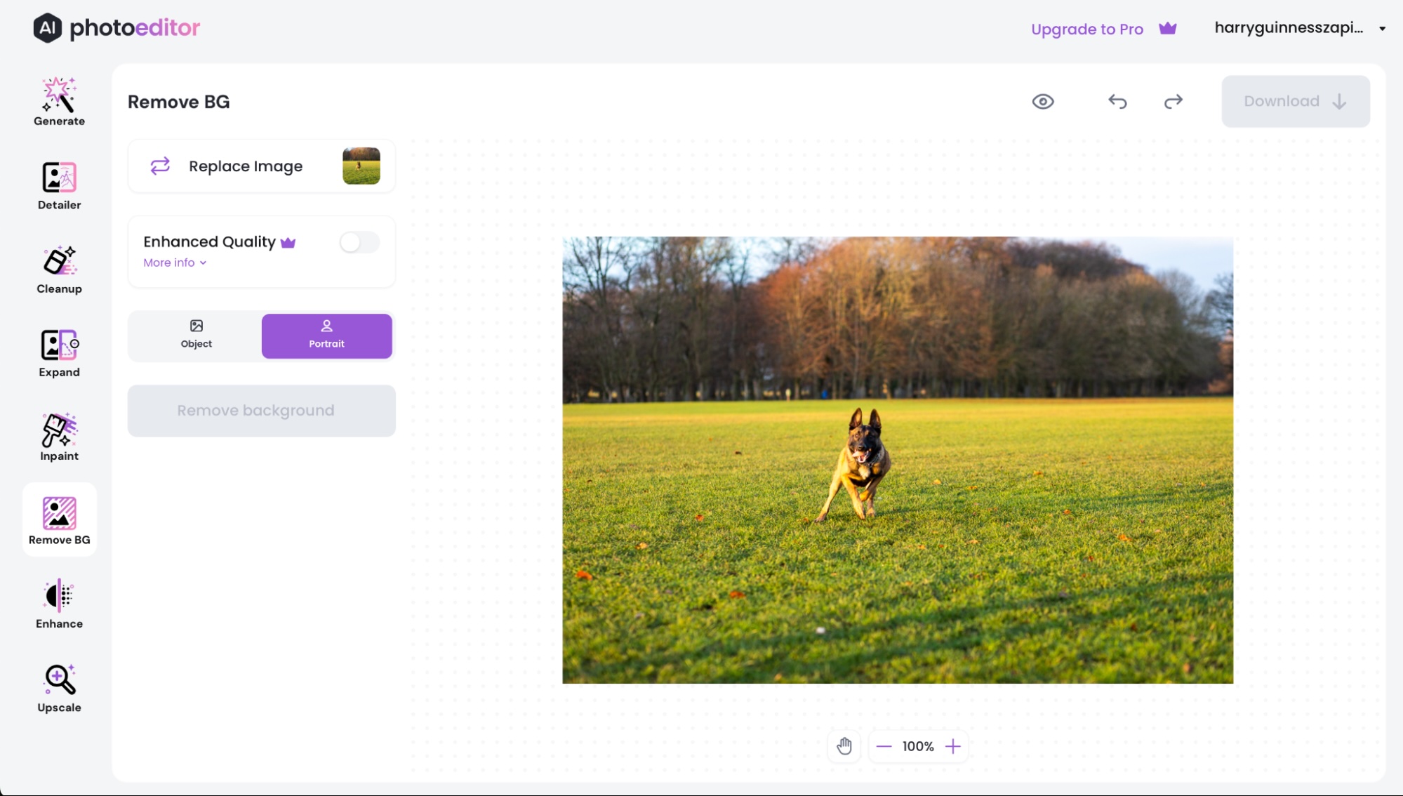 PhotoEditor.AI, a top AI image editor