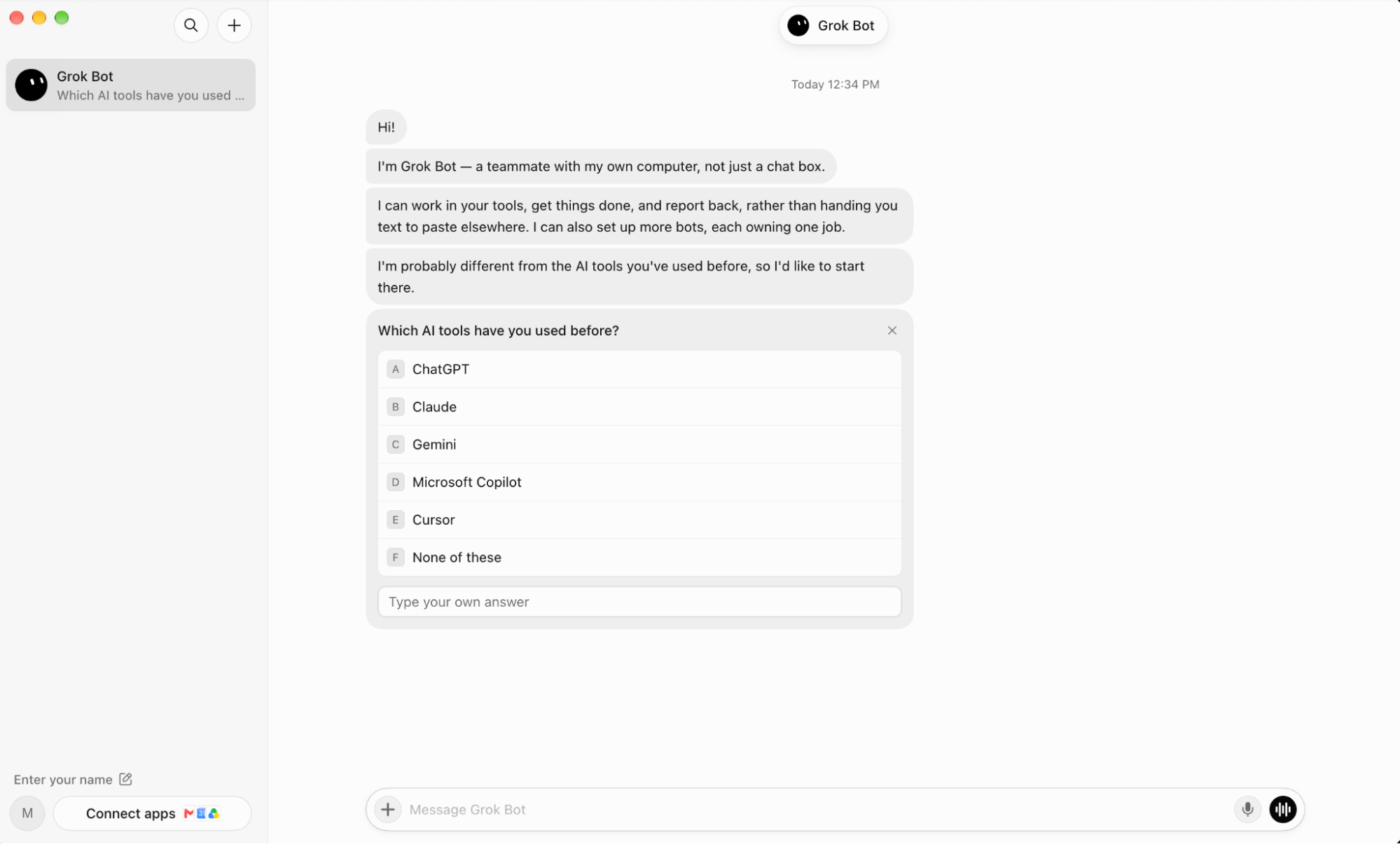 The Grok Bot interface