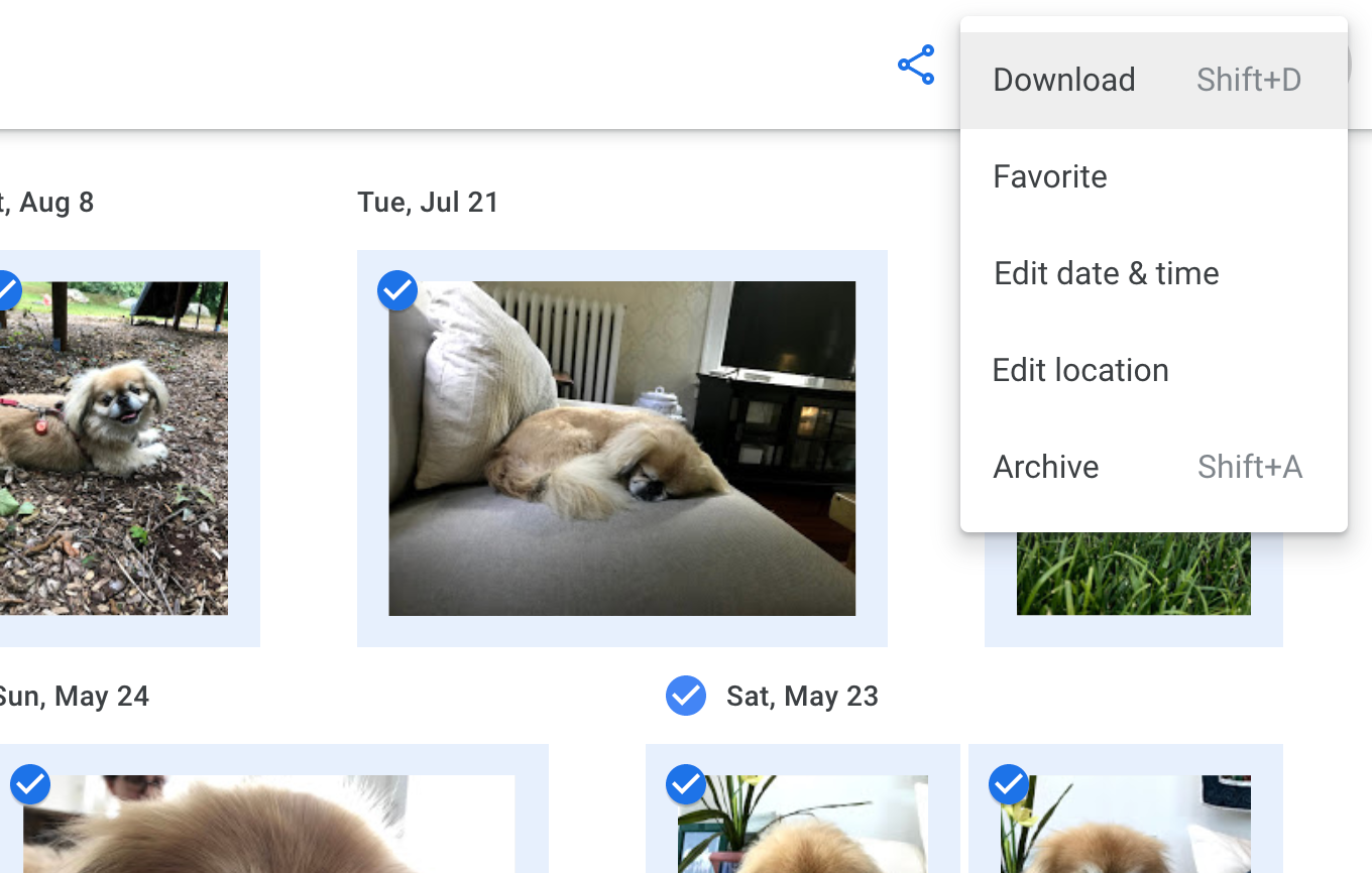 Selecting more adorable dog photos and clicking Download