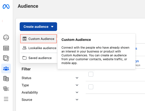 The Audience section with a Create a Custom Audience button