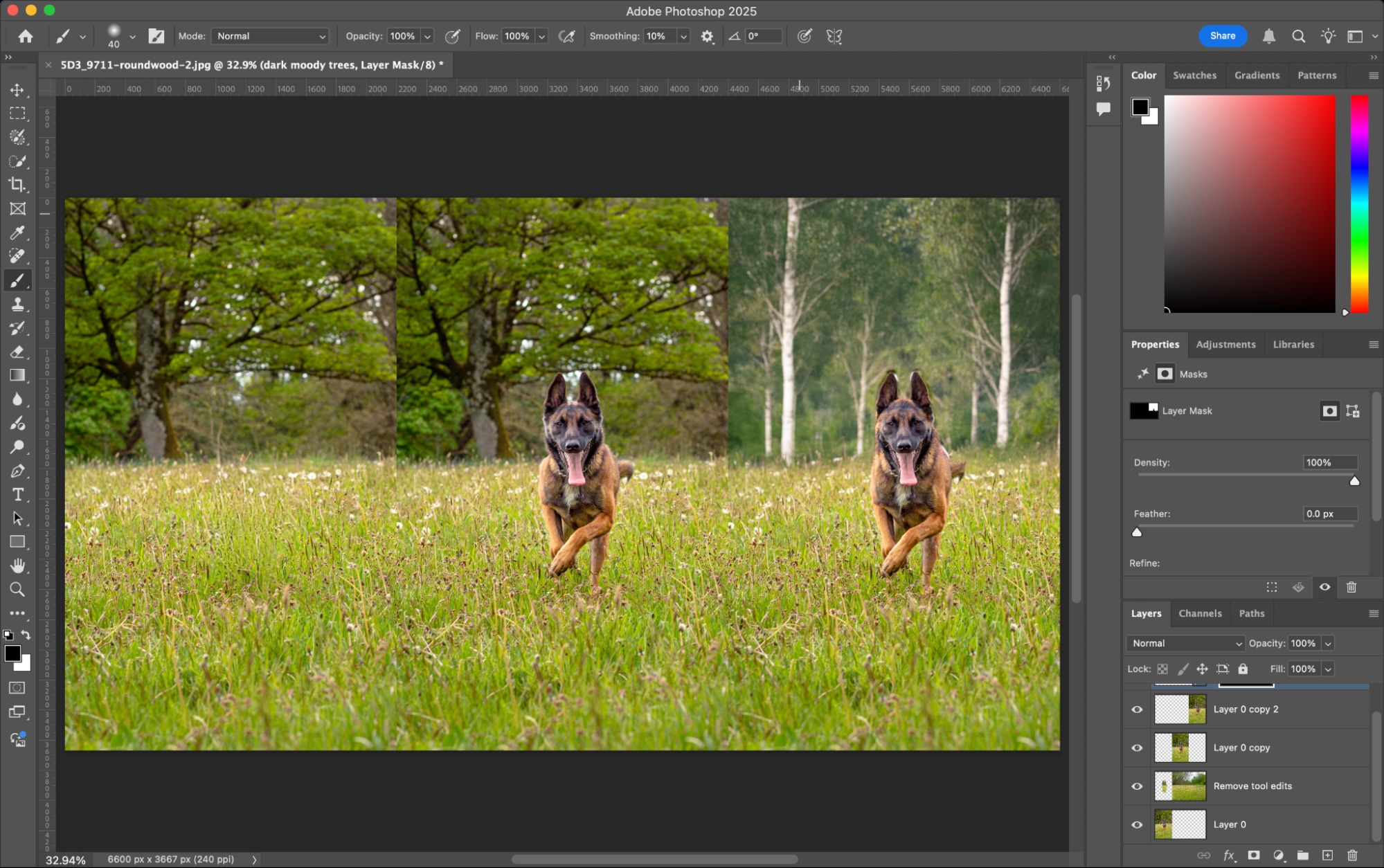 Adobe Firefly, our pick for the best AI image generator for integrating AI-generated images into photos