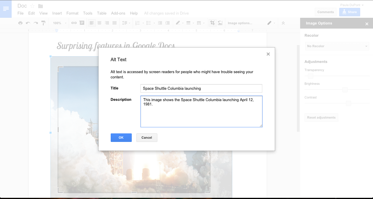 Adding an Alt Text Caption