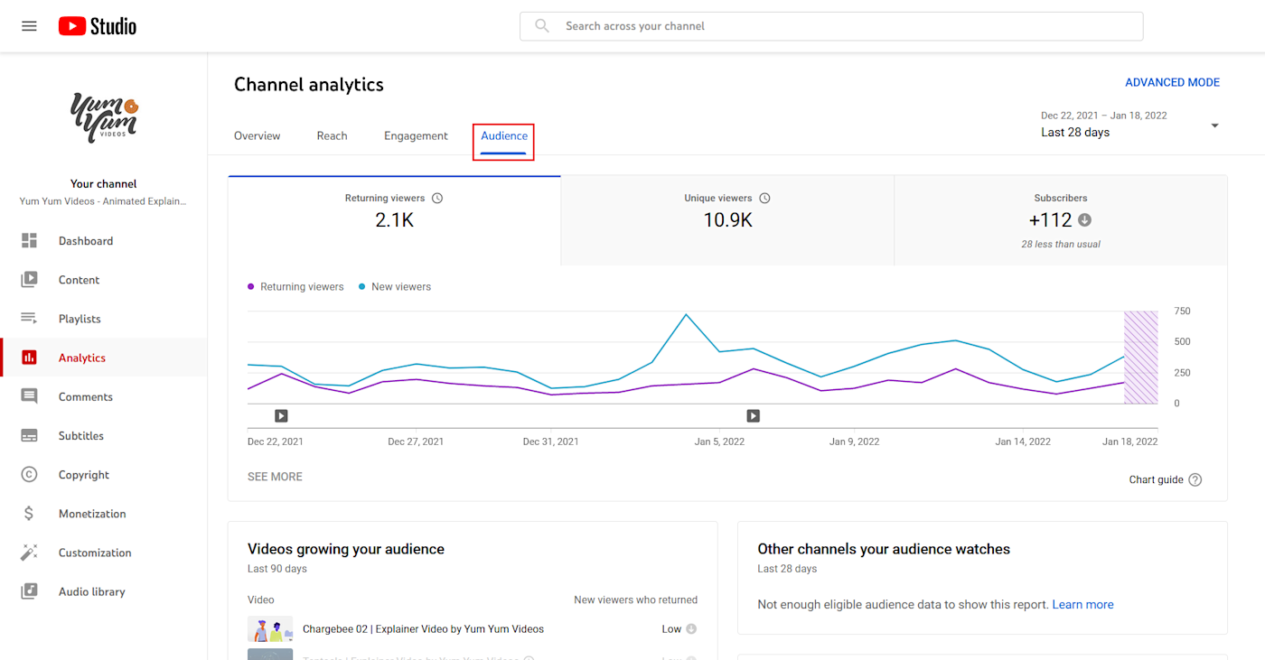 A screenshot of the Audience tab in YouTube Studio's Analytics section