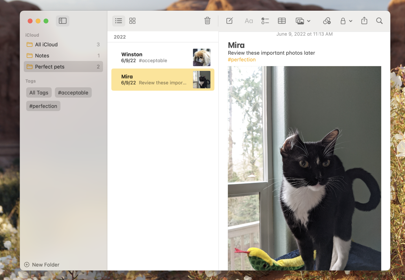 A screenshot of Apple Notes, our pick for the best simple notes app for Mac