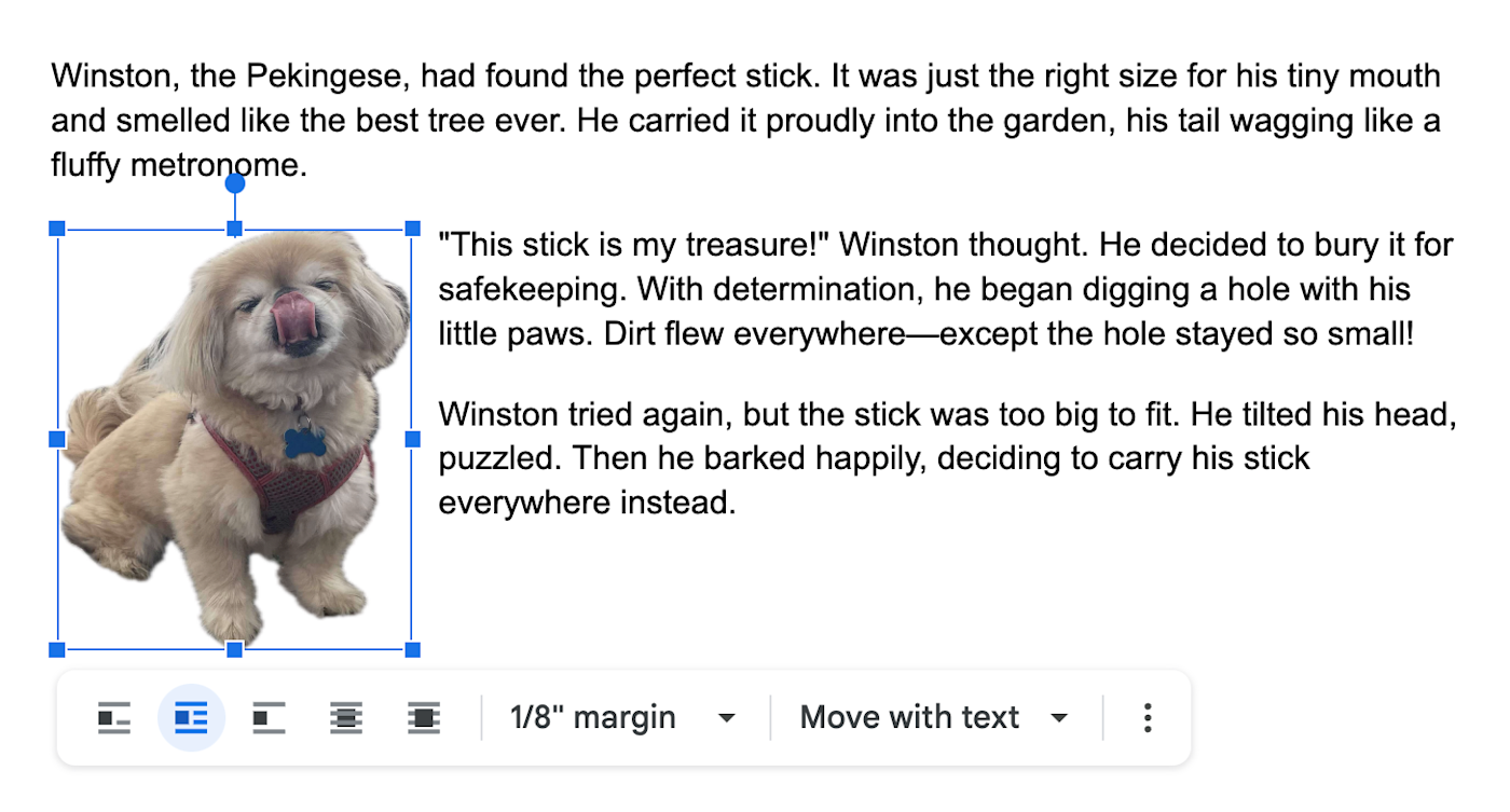 Text wrapped around an image in Google Docs. 