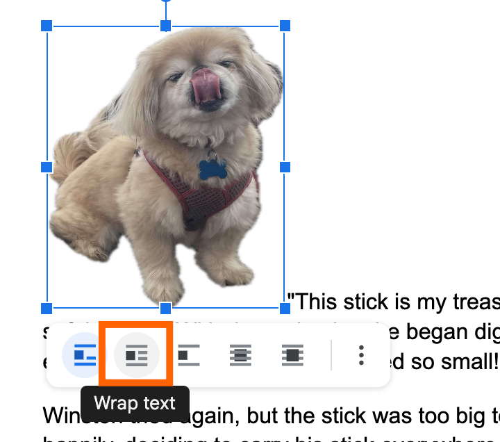 Floating toolbar for an image in Google Docs with the option to wrap text highlighted. 