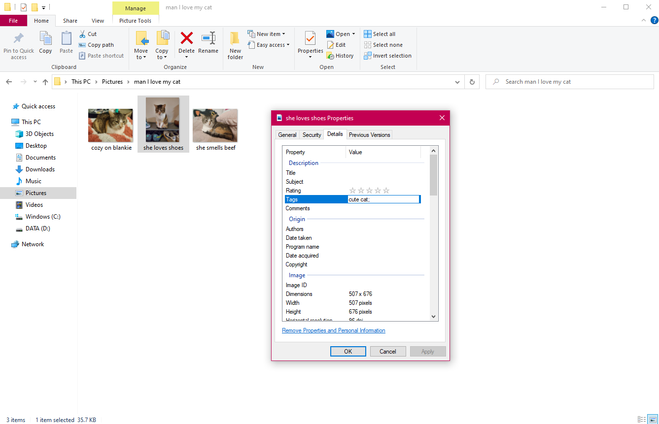 Adding tags to photos on Windows