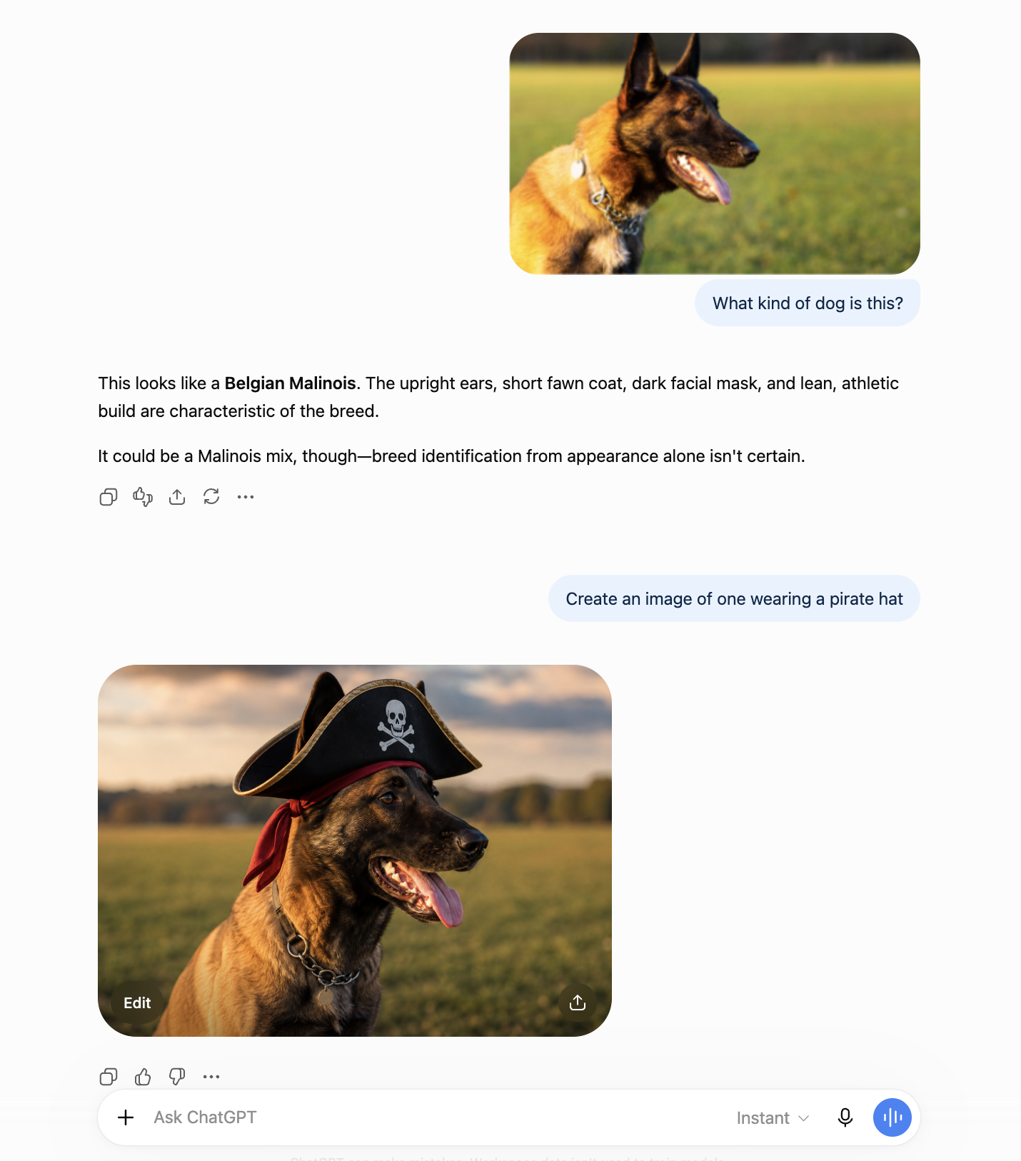 ChatGPT, our pick for the best free small business software for leveraging AI.