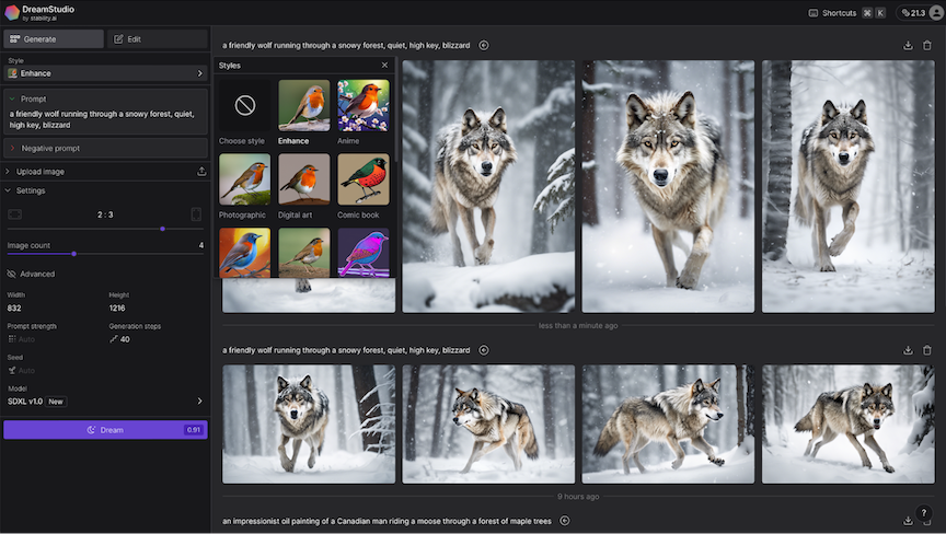 DreamStudio's image editing tools