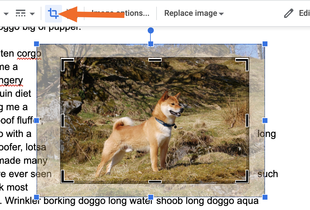 Google Docs cropping