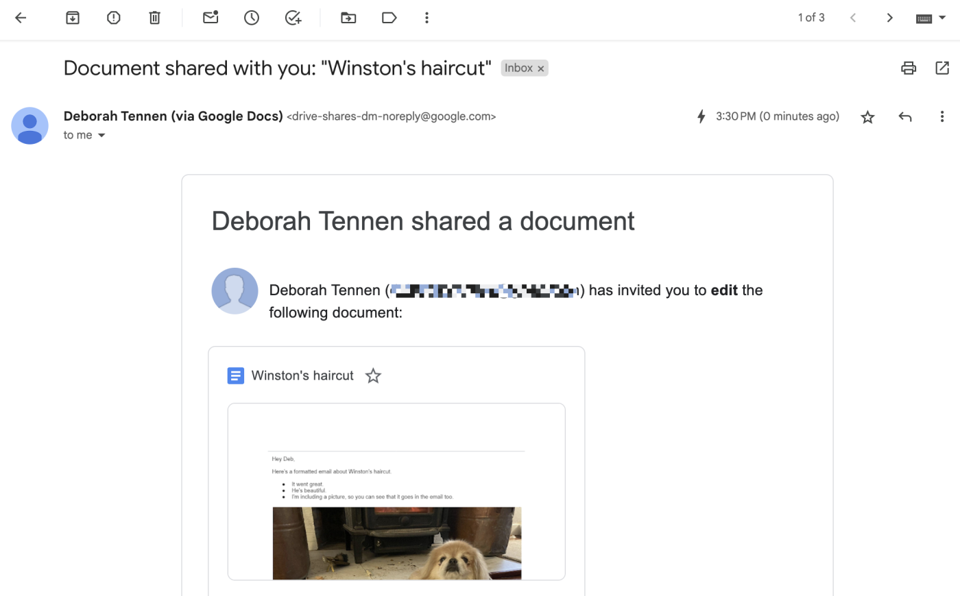 Google Docs share email