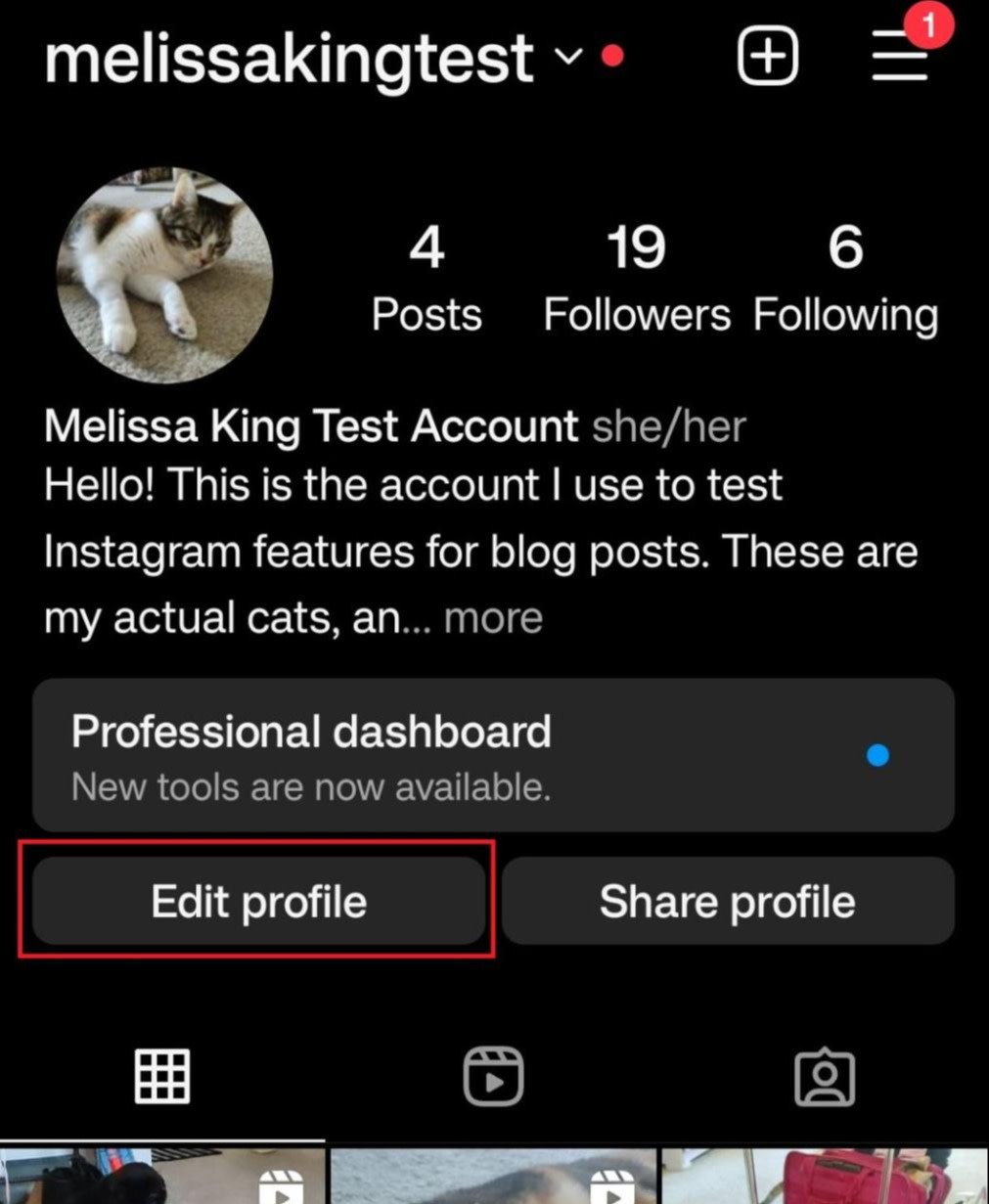 The Edit profile option on Instagram