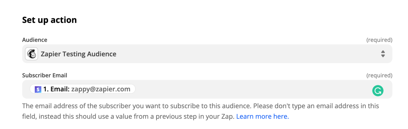 In the Audience field, Zapier Testing Audience is selected with a Mailchimp logo and an email data point is shown in the Subscriber Email field. 