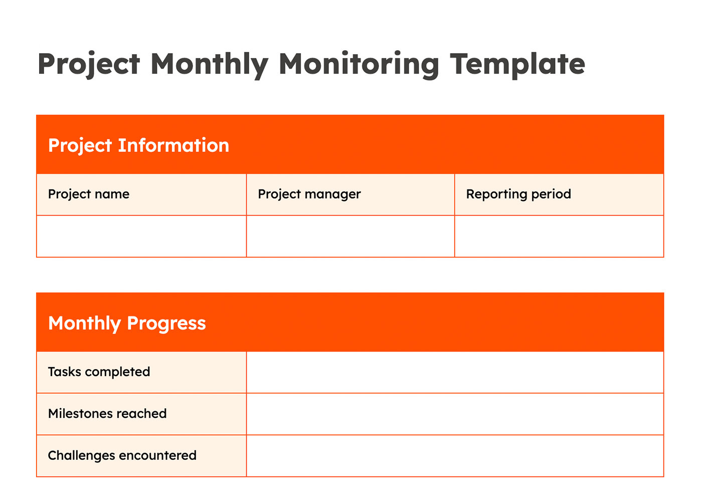 Screenshot of a project monthly monitoring template