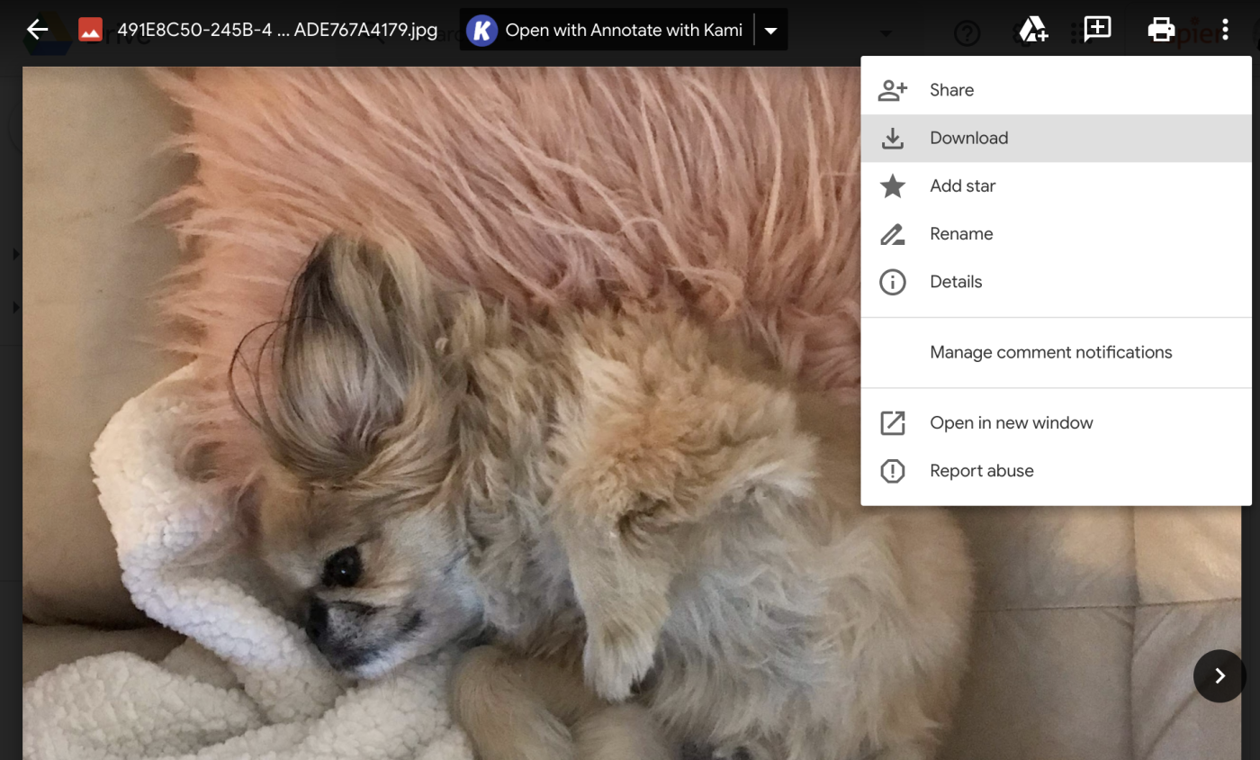 The perfect dog takes a nap in this screenshot, which demonstrates the limited options Google Drive users have when it comes to images