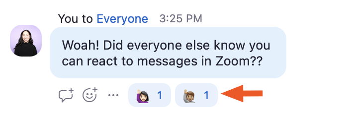 Zoom chat message from Jessica that reads "Woah! Did everyone else know you can react to messages in Zoom?" with two raising-hand emoji reactions.