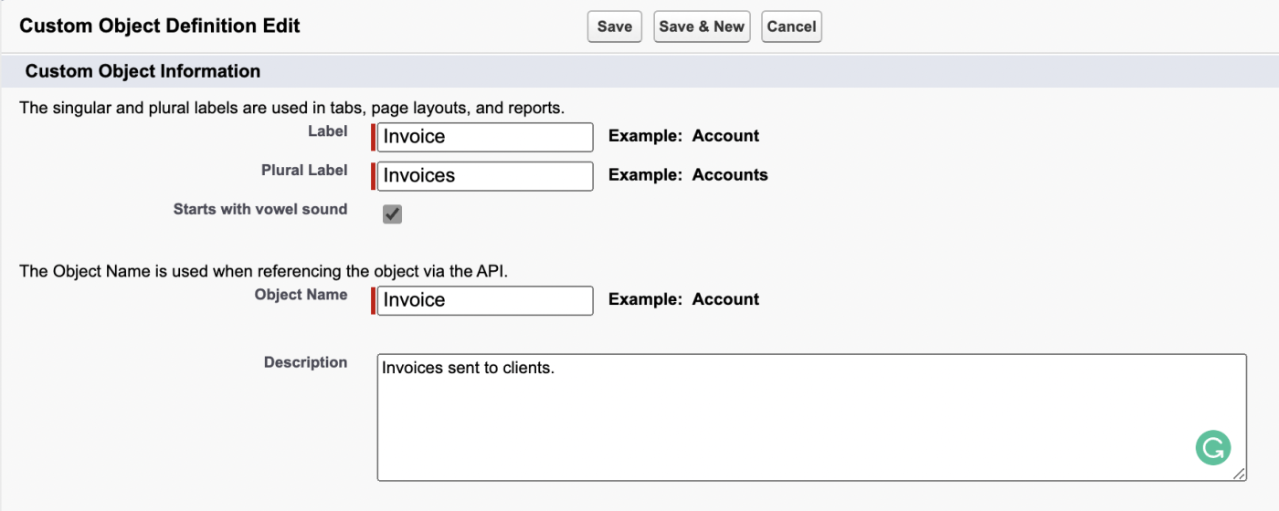 A screenshot of details being added to a new custom object in Salesforce.