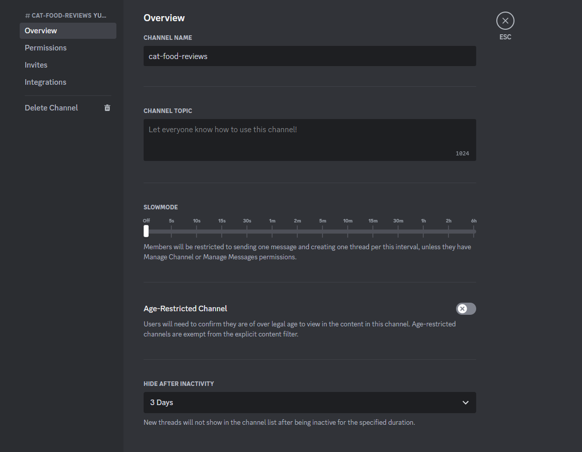 The Overview section of Discord settings