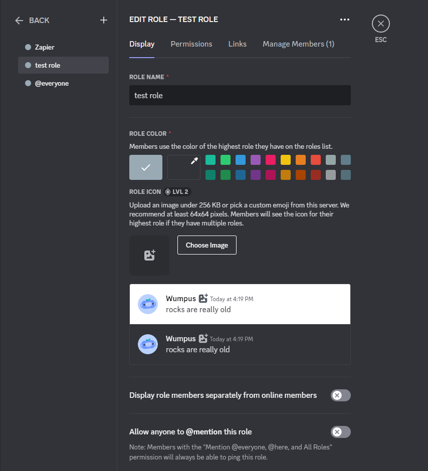 Display settings for roles in Discord
