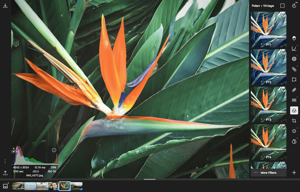 Polarr photo editor screenshot