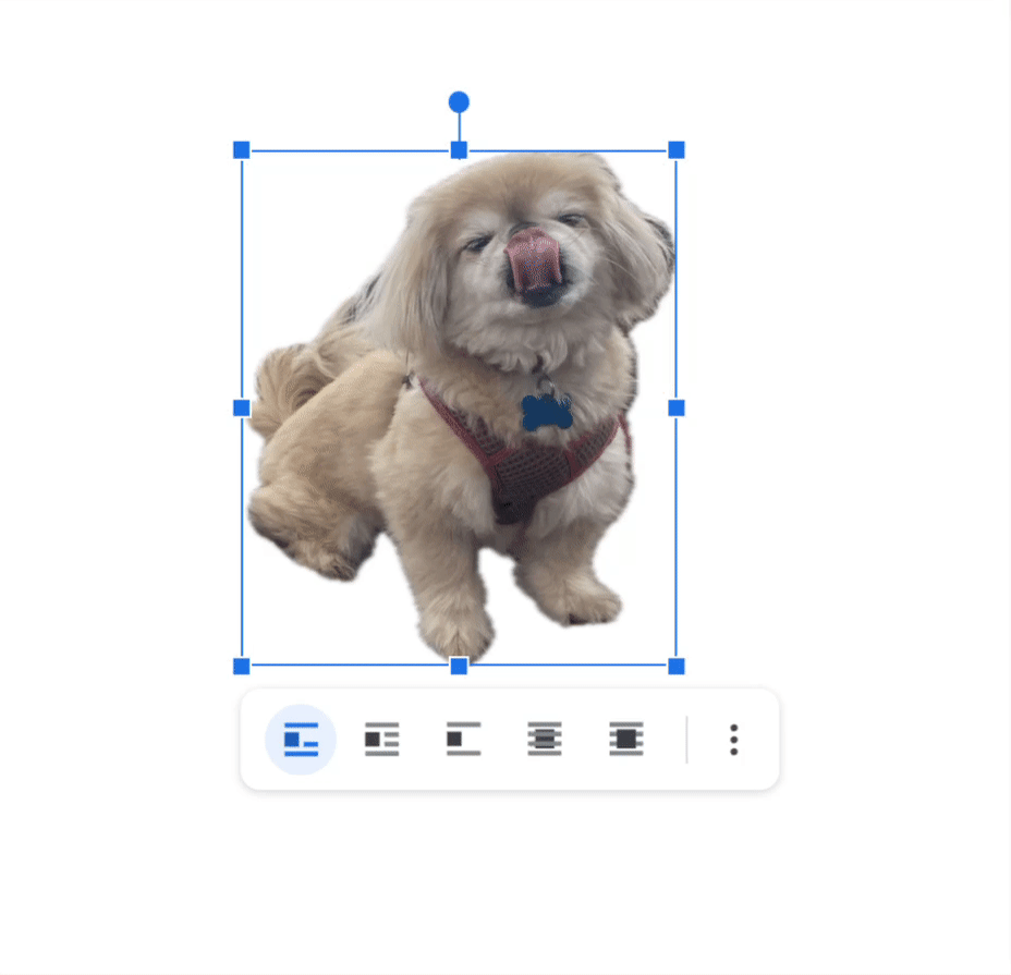 Demo of how to rotate an image in Google Docs using the image handles. 