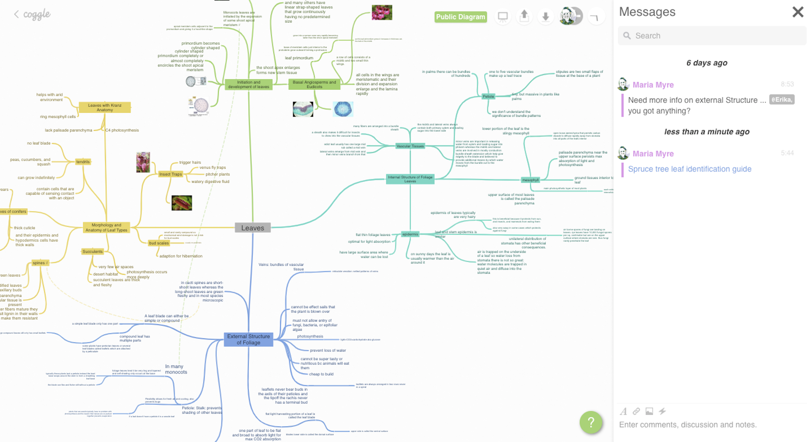 Online Tool For Mind Mapping The Best Mind Mapping Software | Zapier