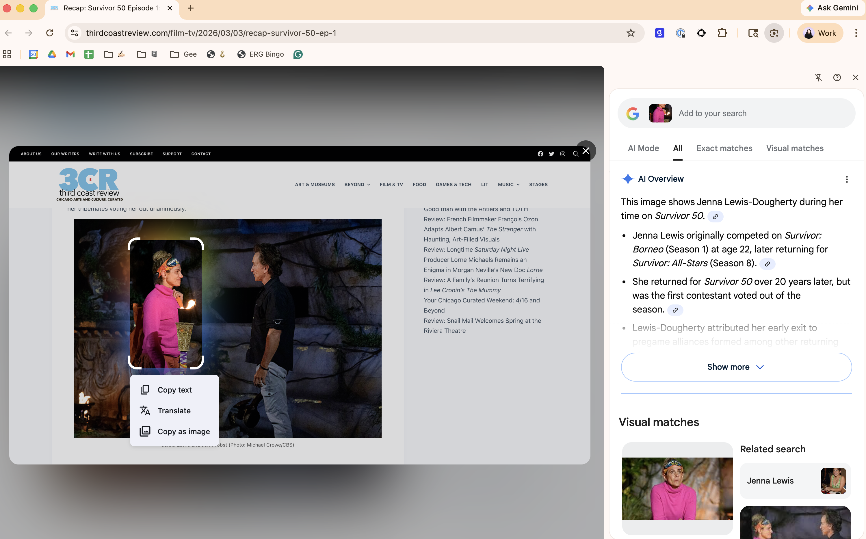 Google AI overview and search results for a webpage image.