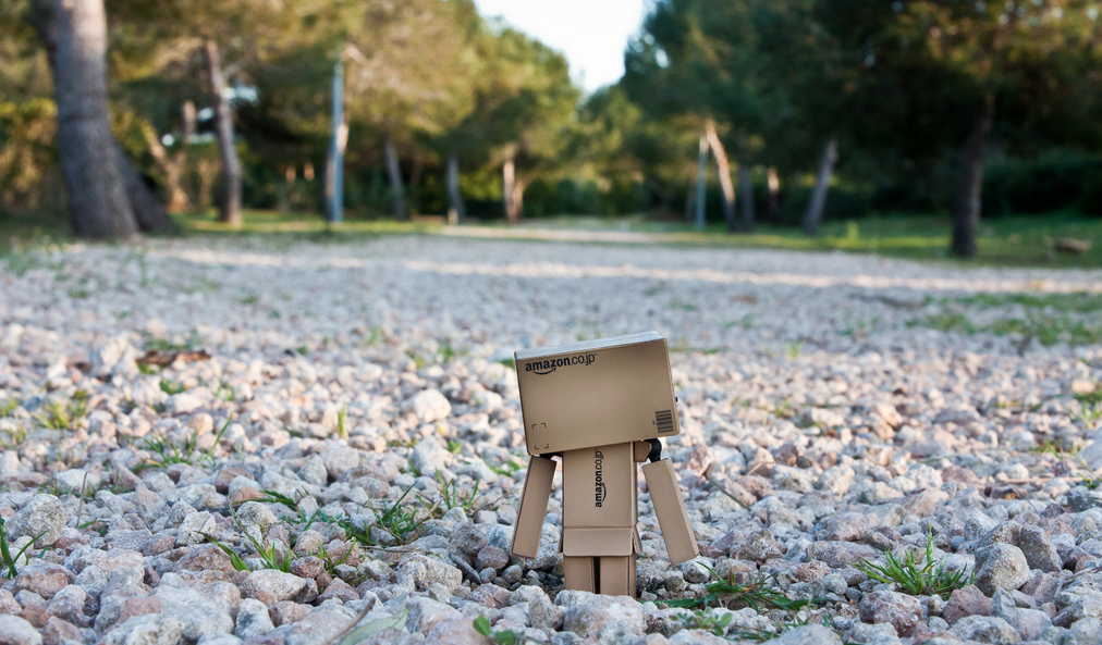 Danbo outside