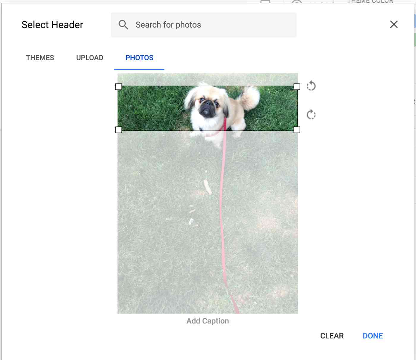 customize-google-forms-header-image-04-winston-vertical Showing how a vertical image looks when cropping