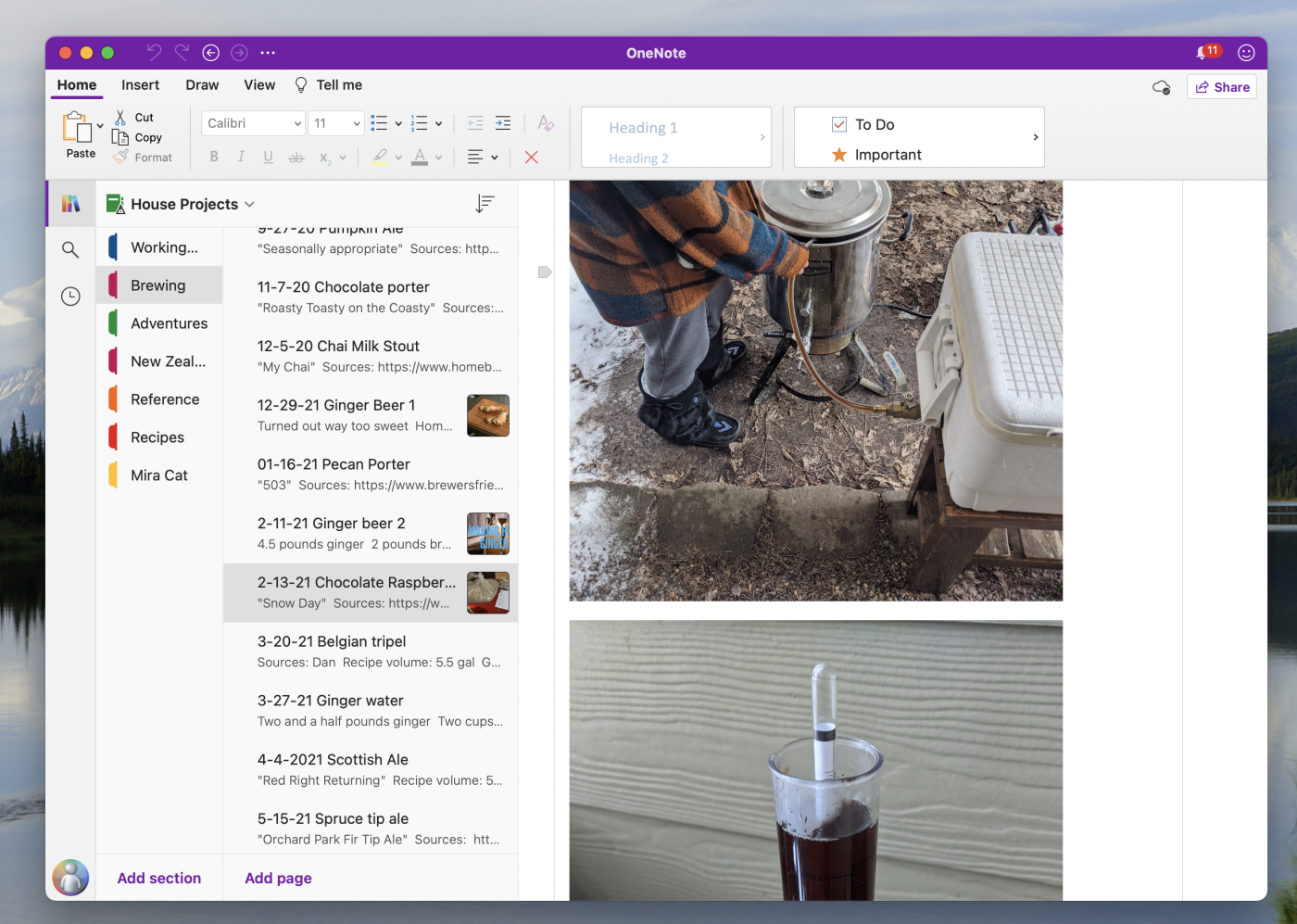 Justin's beer brewing notes in OneNote