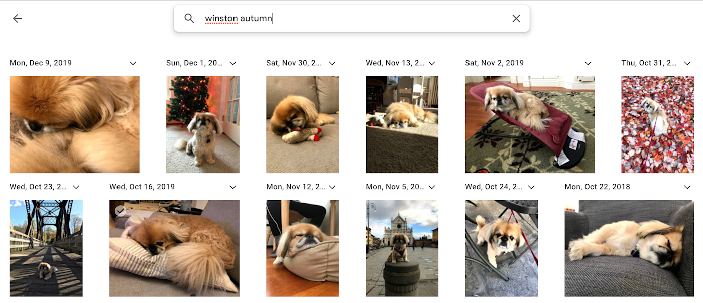 Search for Winston in autumn