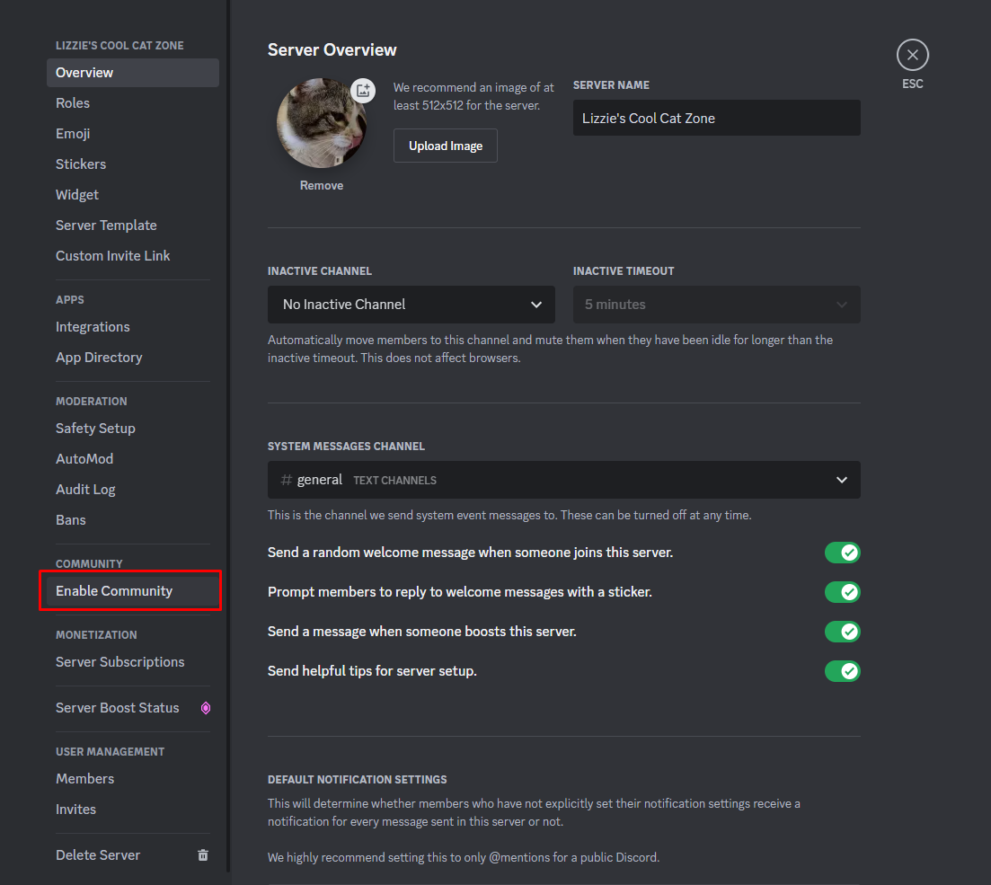 Clicking Enable Community in your Discord settings