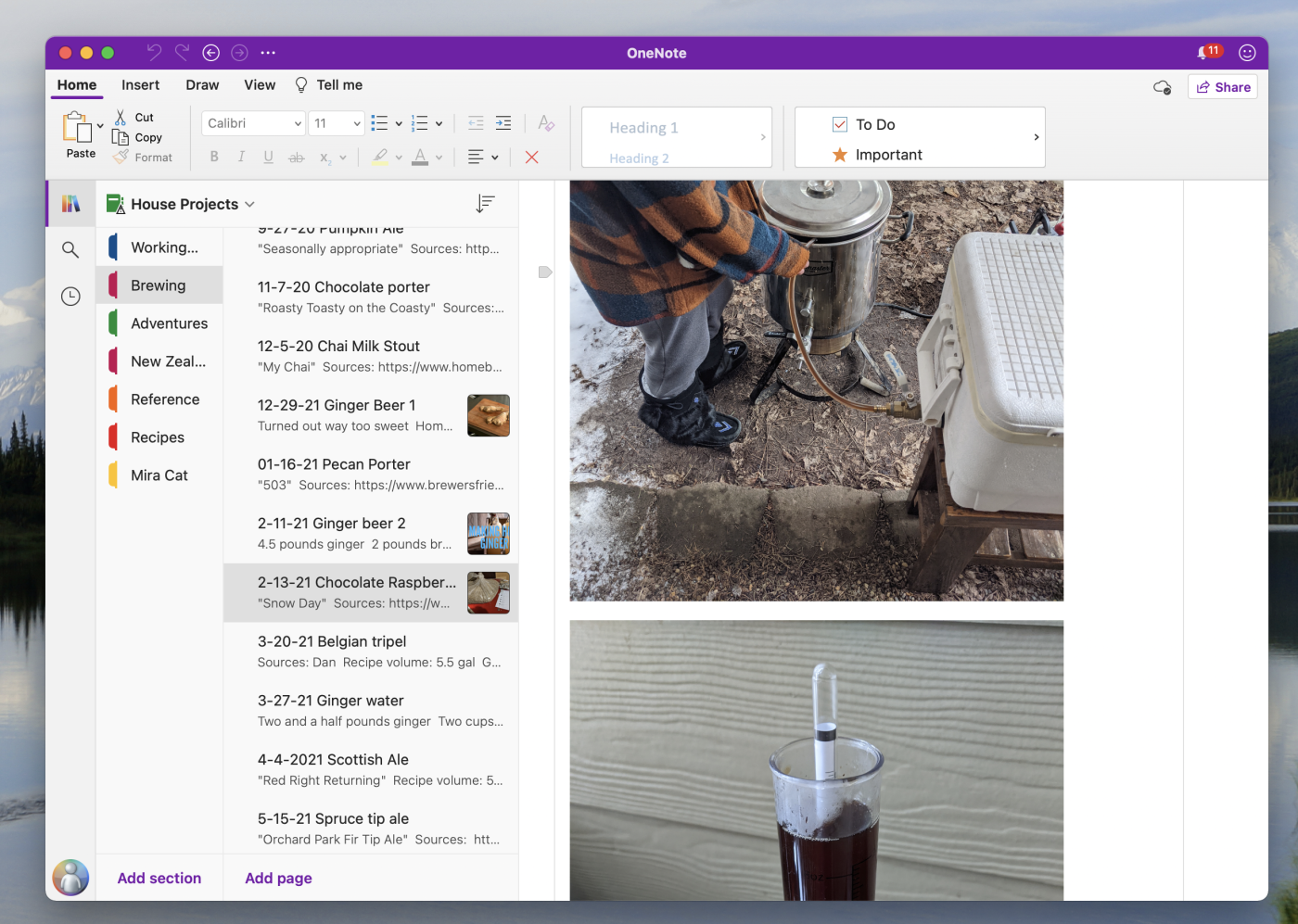 A screenshot of OneNote, our pick for the best traditional note-taking app for Mac