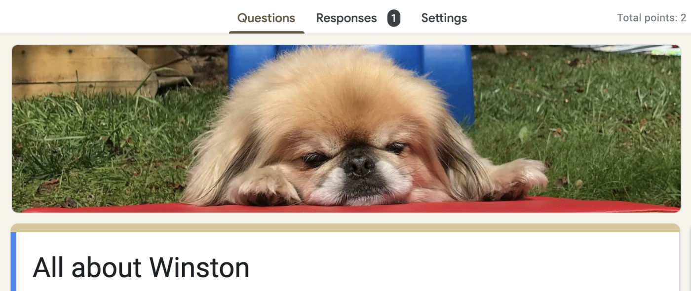 Portion of a form with a header image of a Pekingese dog sleeping on a red mat on grass.