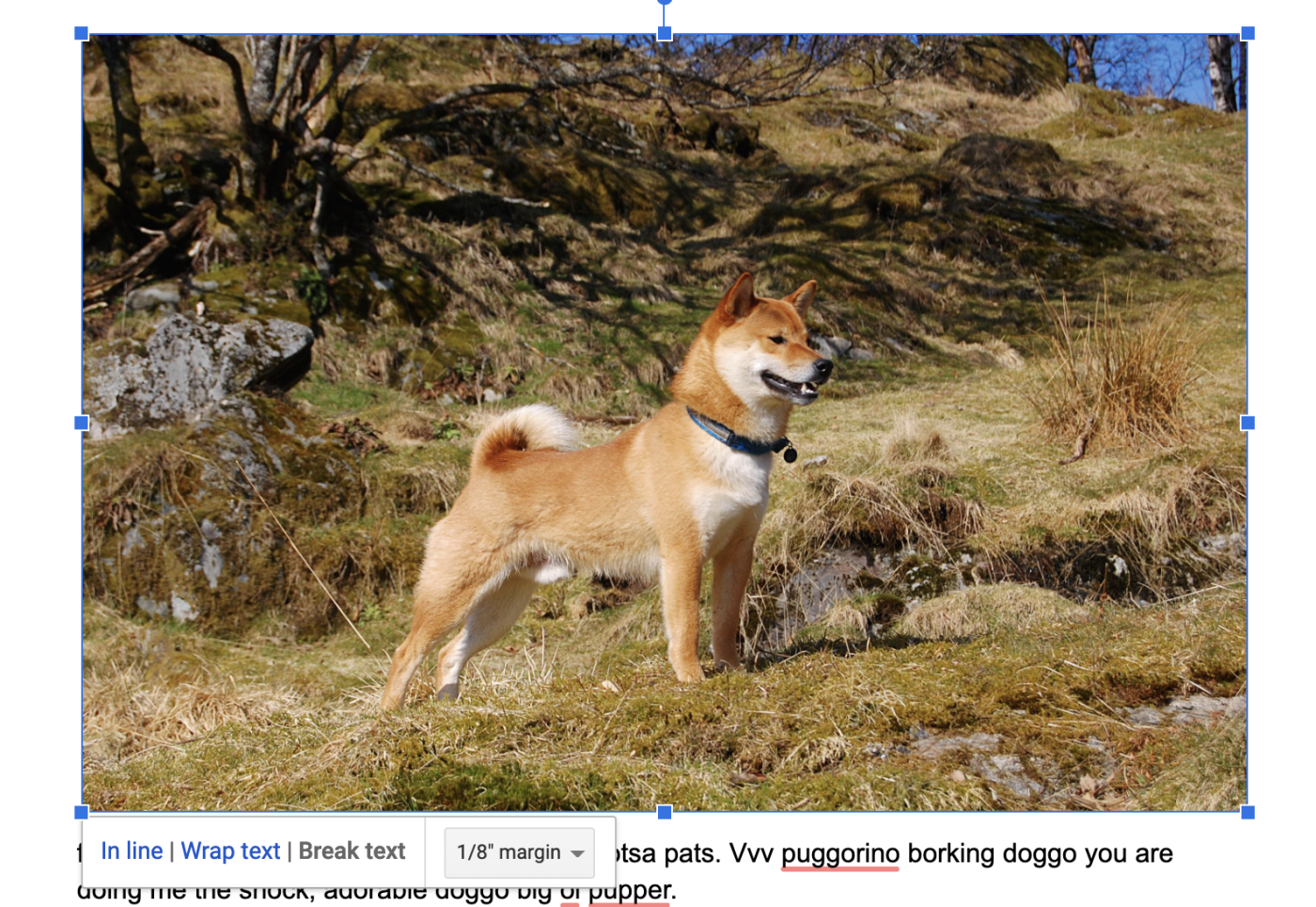 Google Docs resize image