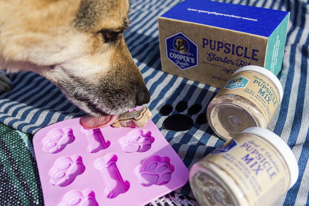 A dog eating treats from the ice cube tray