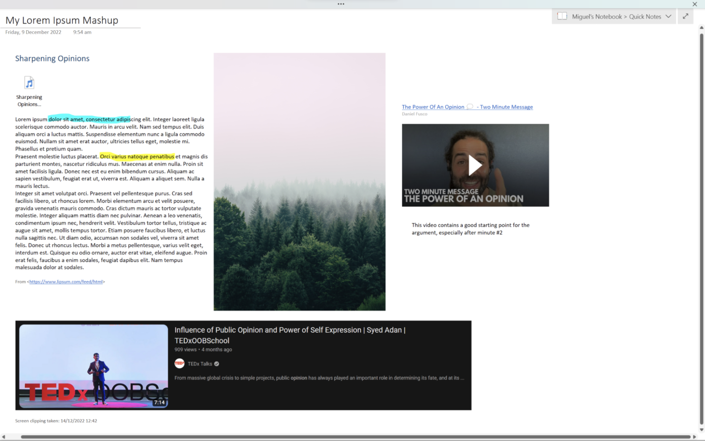 Image, videos, text, and highlights in OneNote
