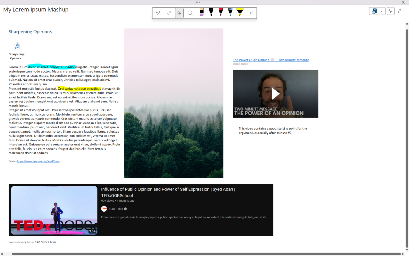 Image, videos, text, and highlights in OneNote