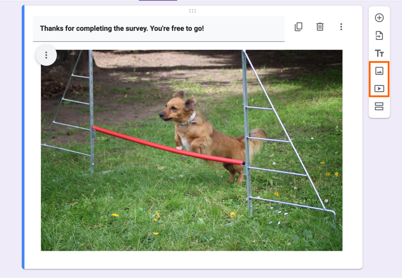 Example of a Google Forms field with only an image and text.