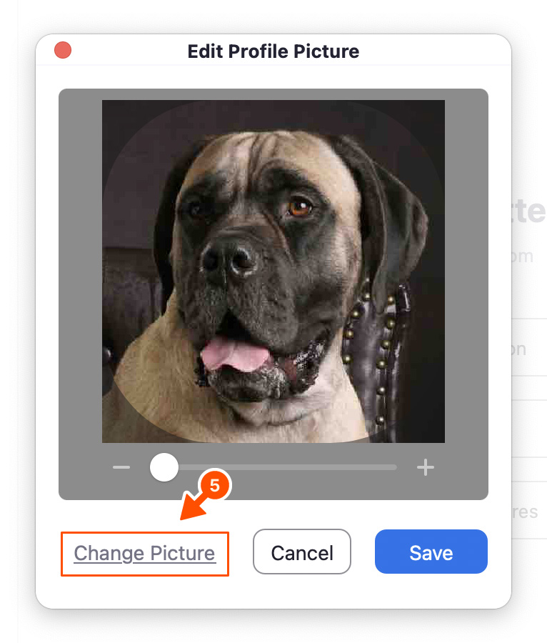 Author showing how to click change picture. 